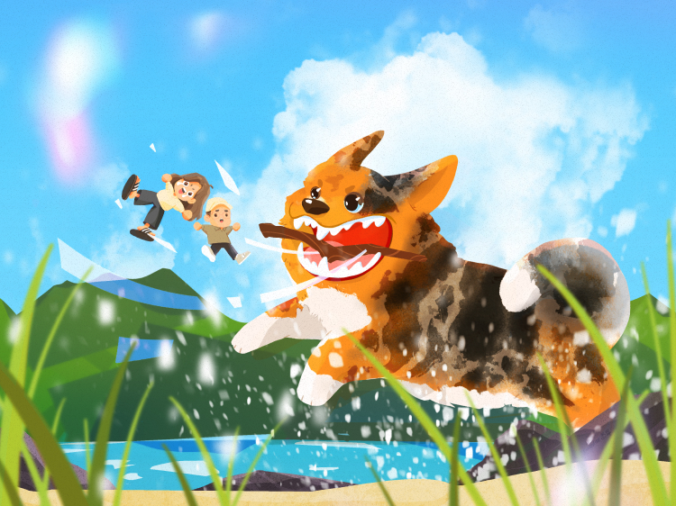 littlecorgo-com